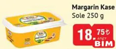 SOLE MARGARİN KASE 250 G